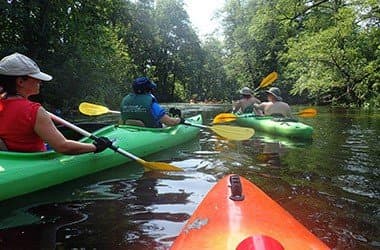 Spływy Jednodniowe - Krutyń - Nowy Most