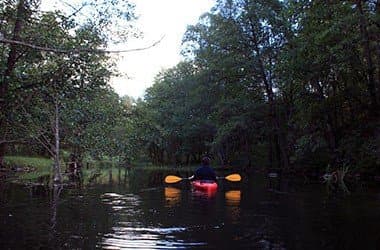 Spływy Jednodniowe - Ukta - Iznota