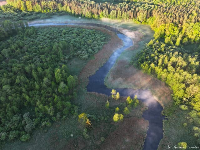 Meandry rzeki Krutynia za Uktą