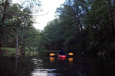 Spływy Jednodniowe - Ukta - Iznota